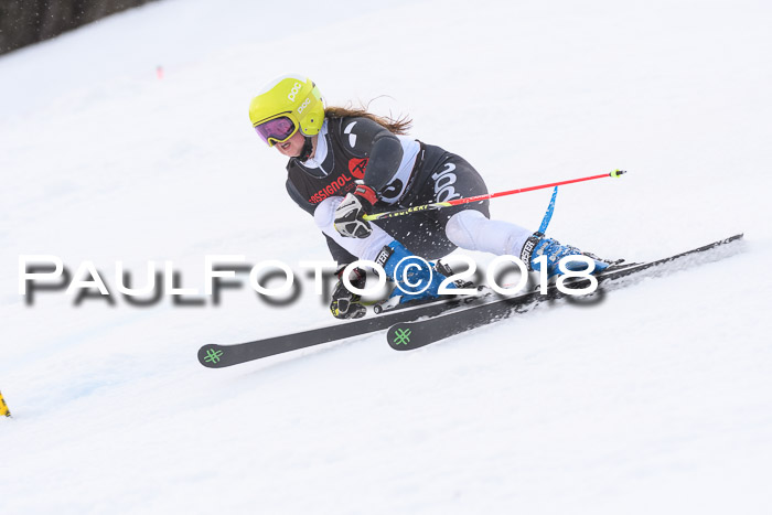 Int. FIS Rennen Damen, RS, Maria Alm 09.01.2018