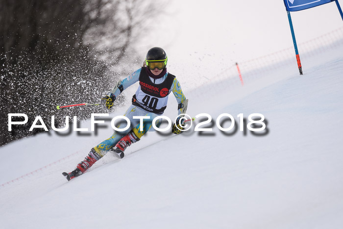 Int. FIS Rennen Damen, RS, Maria Alm 09.01.2018