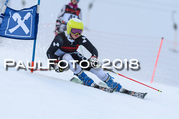 Int. FIS Rennen Damen, RS, Maria Alm 09.01.2018