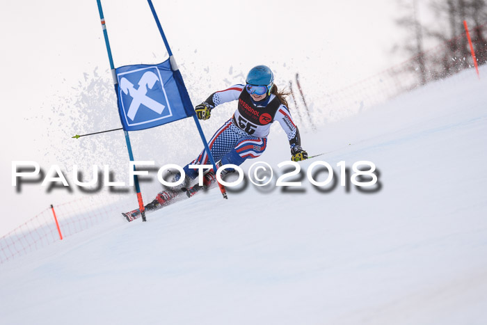 Int. FIS Rennen Damen, RS, Maria Alm 09.01.2018