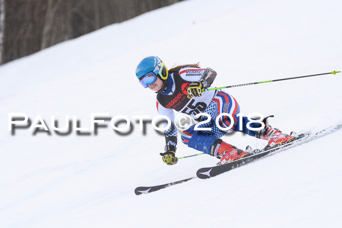 Int. FIS Rennen Damen, RS, Maria Alm 09.01.2018