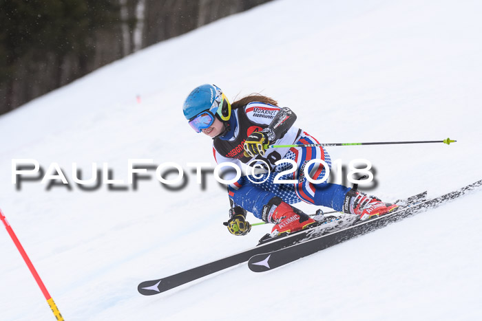 Int. FIS Rennen Damen, RS, Maria Alm 09.01.2018