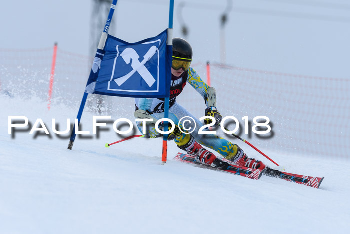 Int. FIS Rennen Damen, RS, Maria Alm 09.01.2018