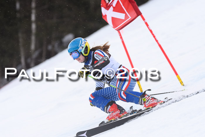 Int. FIS Rennen Damen, RS, Maria Alm 09.01.2018