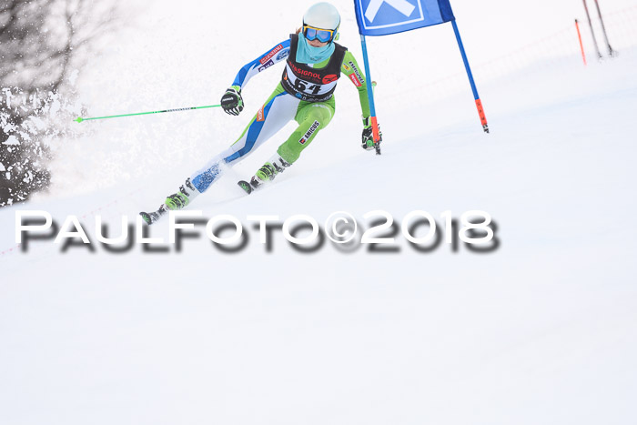 Int. FIS Rennen Damen, RS, Maria Alm 09.01.2018