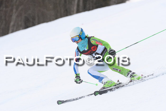 Int. FIS Rennen Damen, RS, Maria Alm 09.01.2018