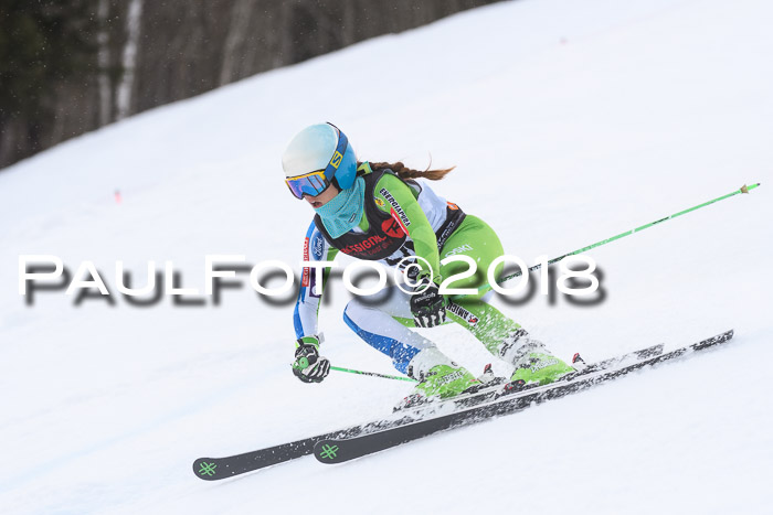Int. FIS Rennen Damen, RS, Maria Alm 09.01.2018