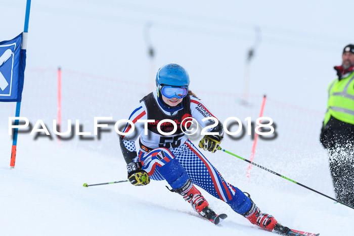 Int. FIS Rennen Damen, RS, Maria Alm 09.01.2018