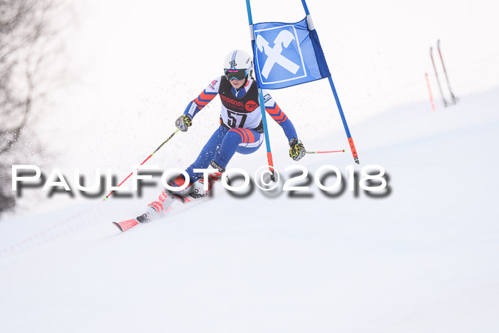 Int. FIS Rennen Damen, RS, Maria Alm 09.01.2018
