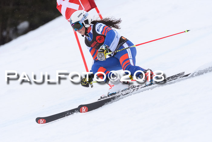 Int. FIS Rennen Damen, RS, Maria Alm 09.01.2018