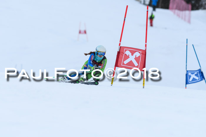 Int. FIS Rennen Damen, RS, Maria Alm 09.01.2018