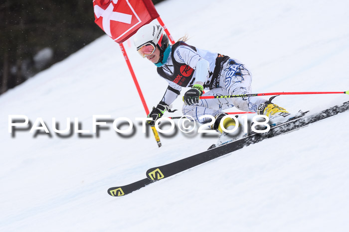 Int. FIS Rennen Damen, RS, Maria Alm 09.01.2018