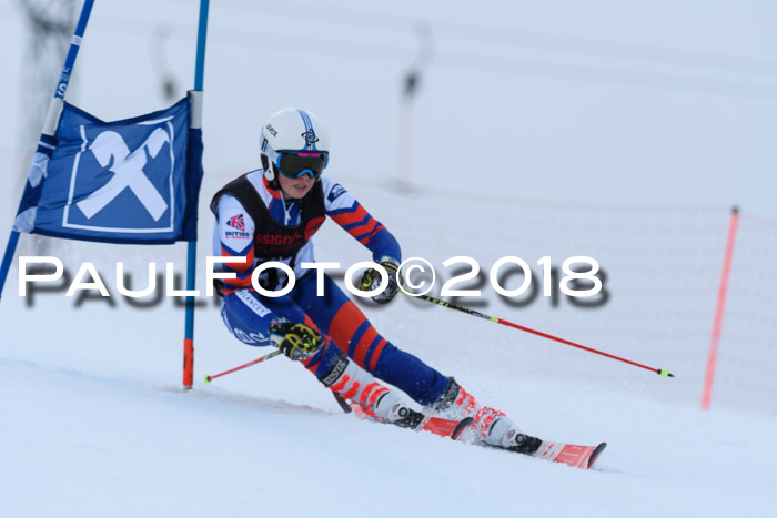 Int. FIS Rennen Damen, RS, Maria Alm 09.01.2018