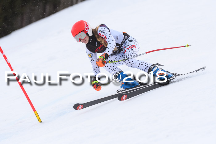 Int. FIS Rennen Damen, RS, Maria Alm 09.01.2018