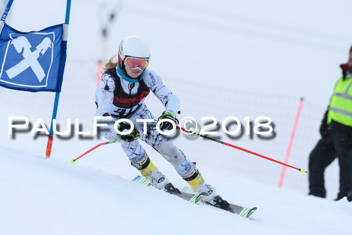 Int. FIS Rennen Damen, RS, Maria Alm 09.01.2018