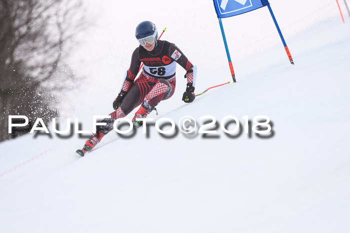 Int. FIS Rennen Damen, RS, Maria Alm 09.01.2018