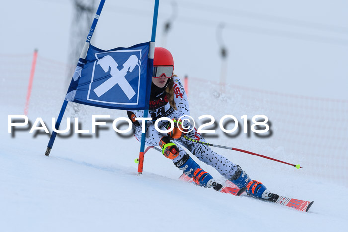 Int. FIS Rennen Damen, RS, Maria Alm 09.01.2018