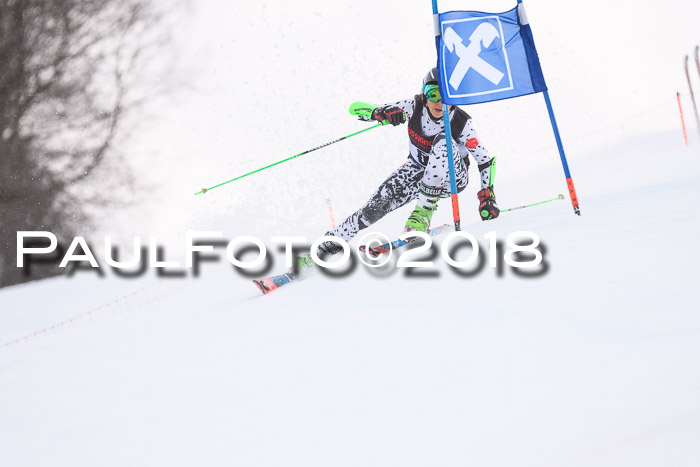 Int. FIS Rennen Damen, RS, Maria Alm 09.01.2018