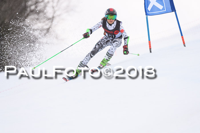 Int. FIS Rennen Damen, RS, Maria Alm 09.01.2018