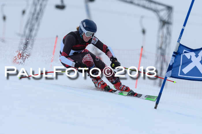 Int. FIS Rennen Damen, RS, Maria Alm 09.01.2018