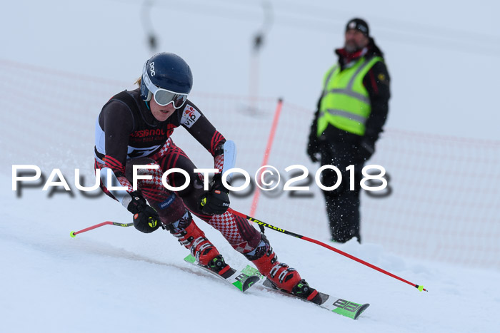 Int. FIS Rennen Damen, RS, Maria Alm 09.01.2018
