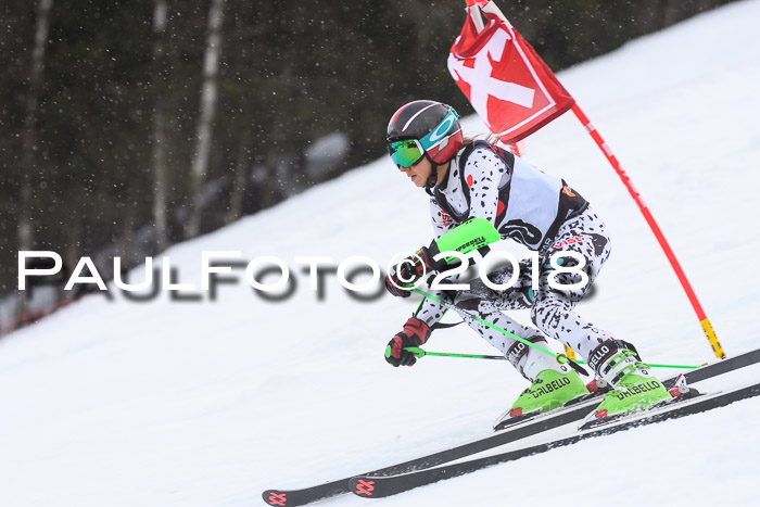 Int. FIS Rennen Damen, RS, Maria Alm 09.01.2018