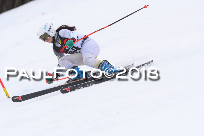 Int. FIS Rennen Damen, RS, Maria Alm 09.01.2018