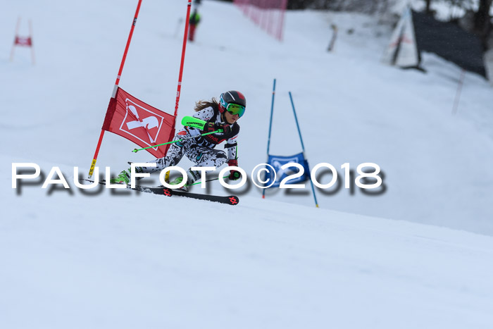 Int. FIS Rennen Damen, RS, Maria Alm 09.01.2018