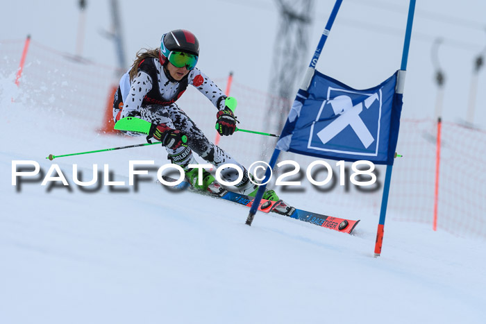 Int. FIS Rennen Damen, RS, Maria Alm 09.01.2018