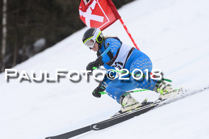 Int. FIS Rennen Damen, RS, Maria Alm 09.01.2018