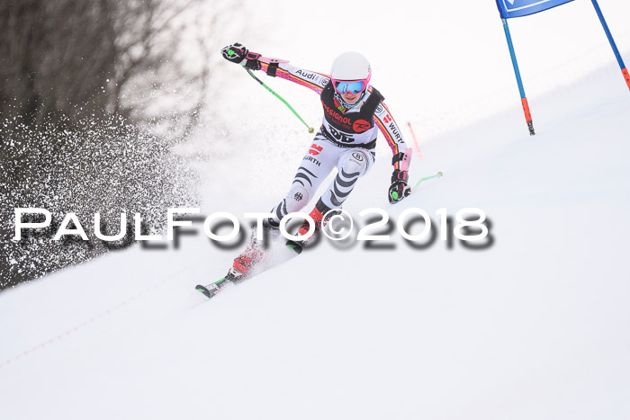 Int. FIS Rennen Damen, RS, Maria Alm 09.01.2018