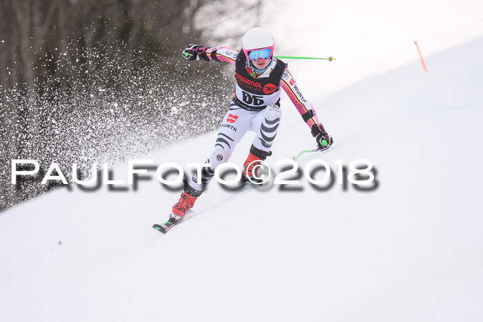Int. FIS Rennen Damen, RS, Maria Alm 09.01.2018