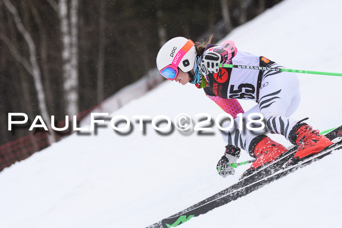 Int. FIS Rennen Damen, RS, Maria Alm 09.01.2018