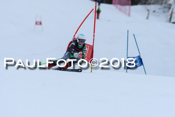 Int. FIS Rennen Damen, RS, Maria Alm 09.01.2018