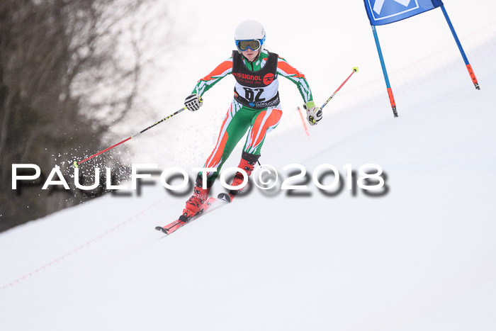 Int. FIS Rennen Damen, RS, Maria Alm 09.01.2018
