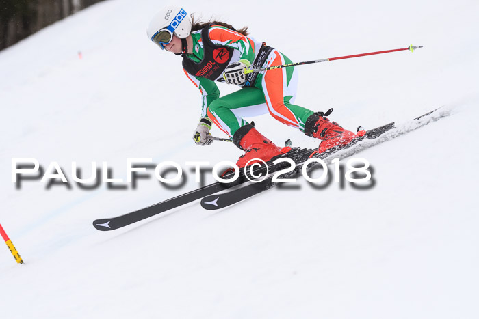 Int. FIS Rennen Damen, RS, Maria Alm 09.01.2018