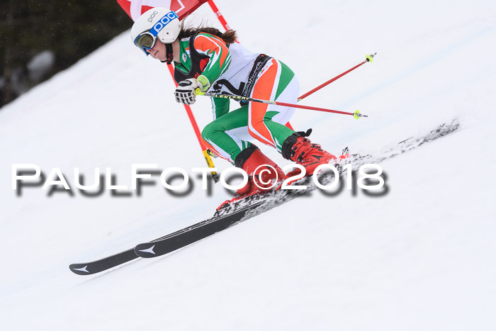 Int. FIS Rennen Damen, RS, Maria Alm 09.01.2018