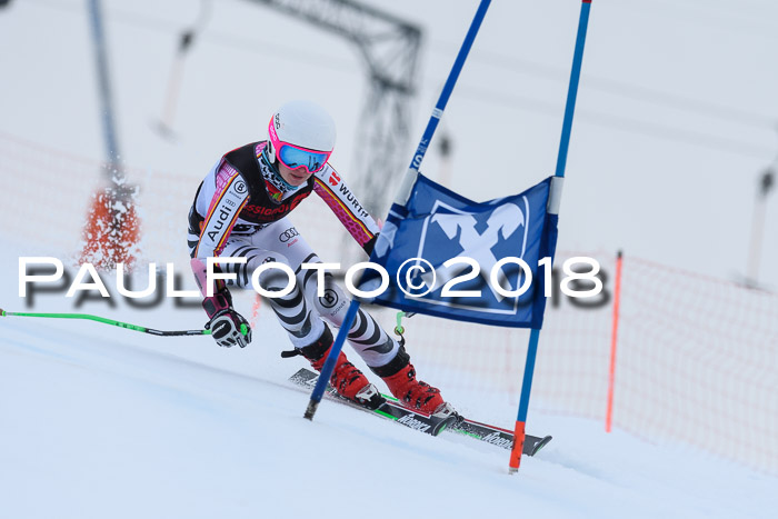 Int. FIS Rennen Damen, RS, Maria Alm 09.01.2018