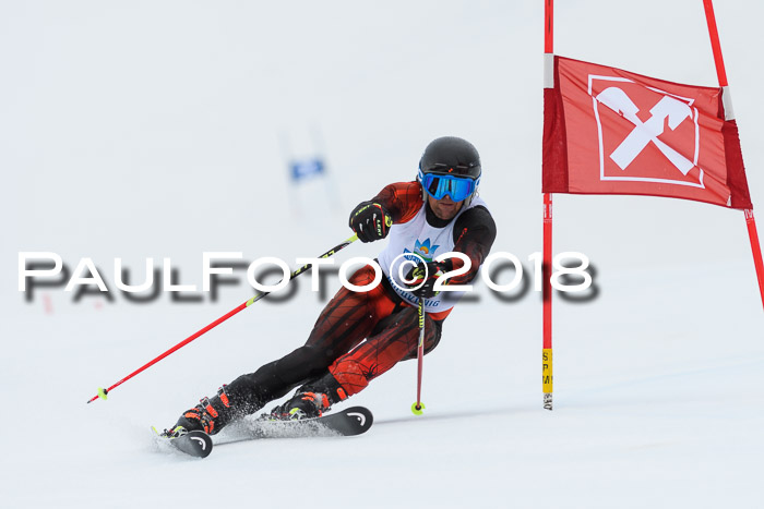 Int. FIS Rennen Damen, RS, Maria Alm 09.01.2018