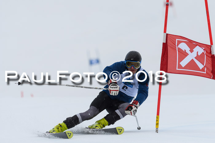 Int. FIS Rennen Damen, RS, Maria Alm 09.01.2018