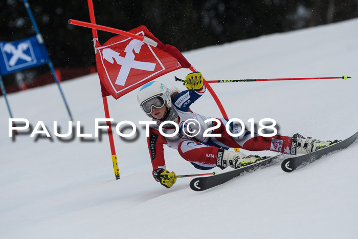 Int. FIS Rennen Damen, RS, Maria Alm 09.01.2018