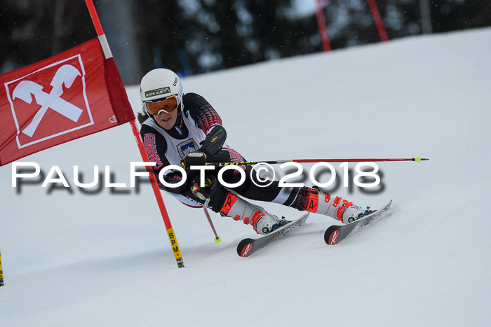 Int. FIS Rennen Damen, RS, Maria Alm 09.01.2018