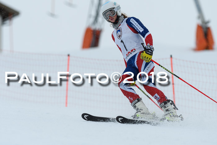 Int. FIS Rennen Damen, RS, Maria Alm 09.01.2018