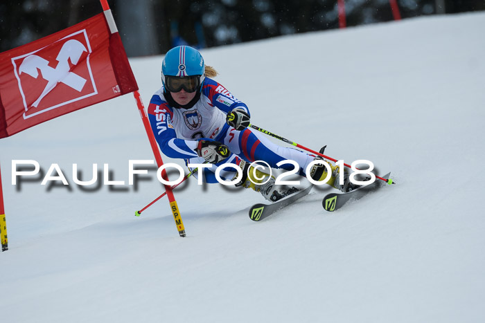 Int. FIS Rennen Damen, RS, Maria Alm 09.01.2018