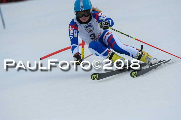 Int. FIS Rennen Damen, RS, Maria Alm 09.01.2018