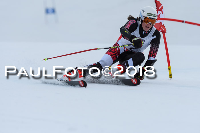 Int. FIS Rennen Damen, RS, Maria Alm 09.01.2018