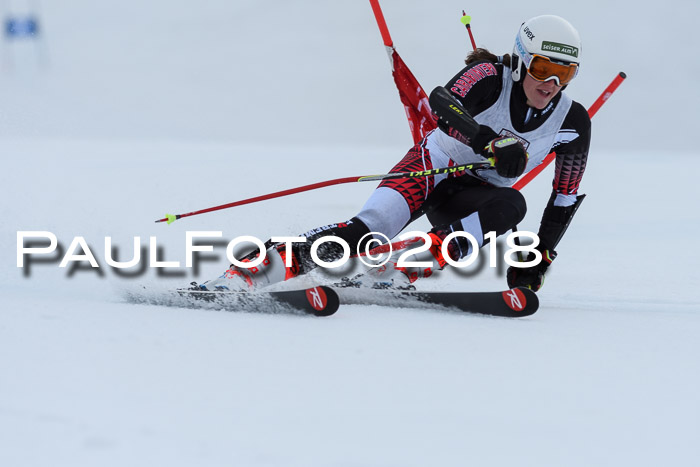 Int. FIS Rennen Damen, RS, Maria Alm 09.01.2018