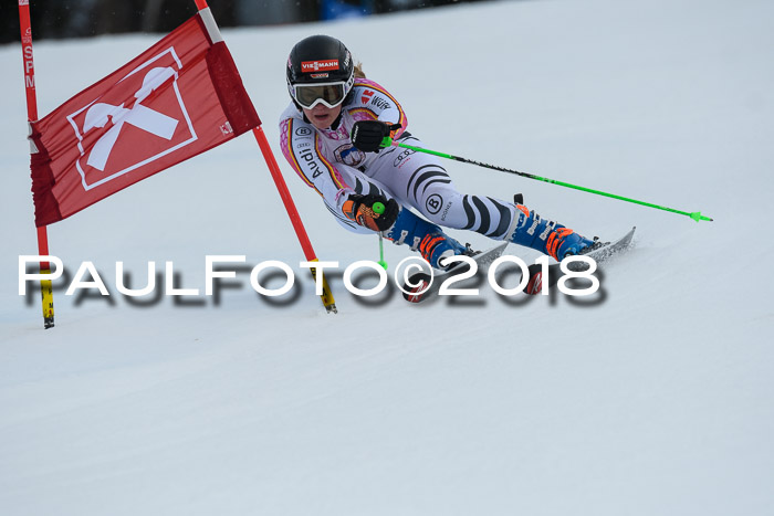 Int. FIS Rennen Damen, RS, Maria Alm 09.01.2018