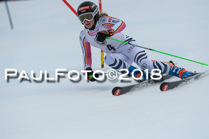 Int. FIS Rennen Damen, RS, Maria Alm 09.01.2018