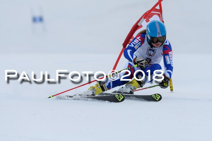 Int. FIS Rennen Damen, RS, Maria Alm 09.01.2018